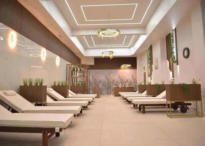 Hotel ивелия и - Ivelia &